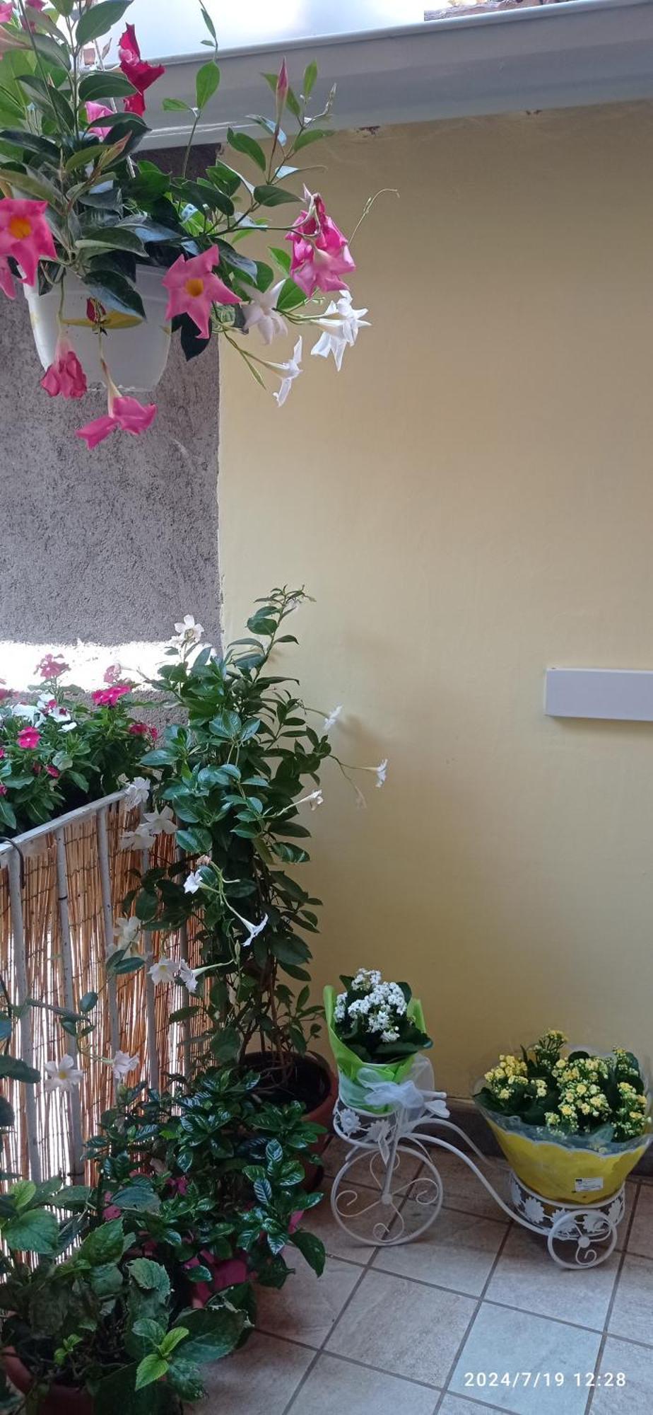 Residenza Del Sepale Apartment Витербо Екстериор снимка